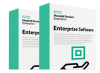 Bild von HPE ANW Bridge Sub E-STU - Software Service & Support